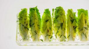 baby lettuce salad spears