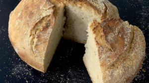 24-hour slow-rise country bread : less than 15 minutes to make + lots of loving patience + the instructions video