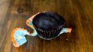 chocolate pumpkin caramel cups