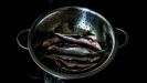 broiled sardines with lemon & herbs aromatic salt