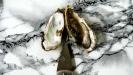 new year’s oyster chowder