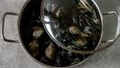 beer-cooked mussels & (a few) clams too