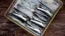 april fool’s day salt-cured sardines