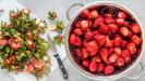 fraises x 4 : au sirop + confiture + gelée + beurre