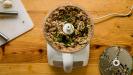 mushroom & gruyere cheese appetizers