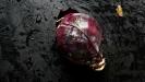 gratitude & thankfulness : winter vegetables