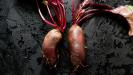 gratitude & thankfulness : winter vegetables
