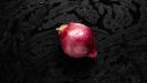 gratitude & thankfulness : winter vegetables