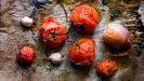 red tomato pizza-pie & green pepper pizza-pie