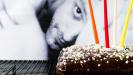 angel’s triple dark chocolate birthday cake