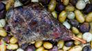 honey-glazed roasted leg of lamb with fruits & vegetables