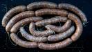 greek 'loukaniko' fresh sausages (from scratch)