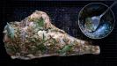 gigot d’agneau rôti à la 'kleftiko' (bandit-montagnard)
