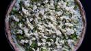 spring onion & feta-yogurt cream pizza