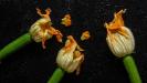 stuffed & fried zucchini flowers