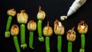 stuffed & fried zucchini flowers