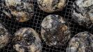 extra-black olive & anchovy bread buns