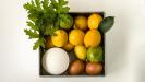 lemon-lime & geranium sorbet