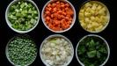 egalitarian & equal opportunity minestrone soup