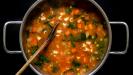 egalitarian & equal opportunity minestrone soup