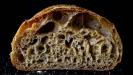 easy bread (with the pizza dough hack)
