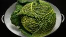 extra tart green cabbage rolls with meat & rice stuffing