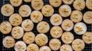 spiced orange & hazelnut christmas cookies