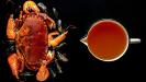 seafood stock (with shellfish & mollusks)
