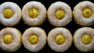 lemon & lime & olive oil cakes