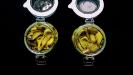 roasted green bell peppers preserves (in olive oil)
