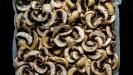 soupe veloutée de champignons rôtis (avec bouillon de champignons fait-maison & garniture de champignons forestiers frits)