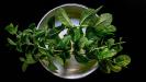 a better balanced «tabbouleh» salad
