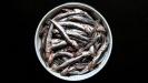beer-marinated & fried fresh anchovies