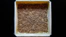 a better traditional & aromatic «baklava» with walnuts