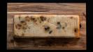 custardy bread pudding