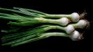 roasted spring onion & whipped feta & yogurt dip