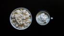 roasted spring onion & whipped feta & yogurt dip