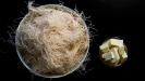 «kataifi galaktoboureko» semolina custard pie with shredded filo filaments crust & syrup