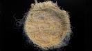«kataifi galaktoboureko» semolina custard pie with shredded filo filaments crust & syrup