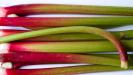 rhubarb ginger tarts