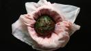 &laquo;horta&raquo; salad with beetroot greens