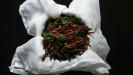&laquo;horta&raquo; salad with beetroot greens